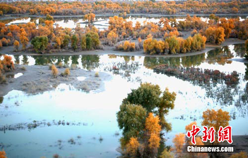 图片默认标题_fororder_J2