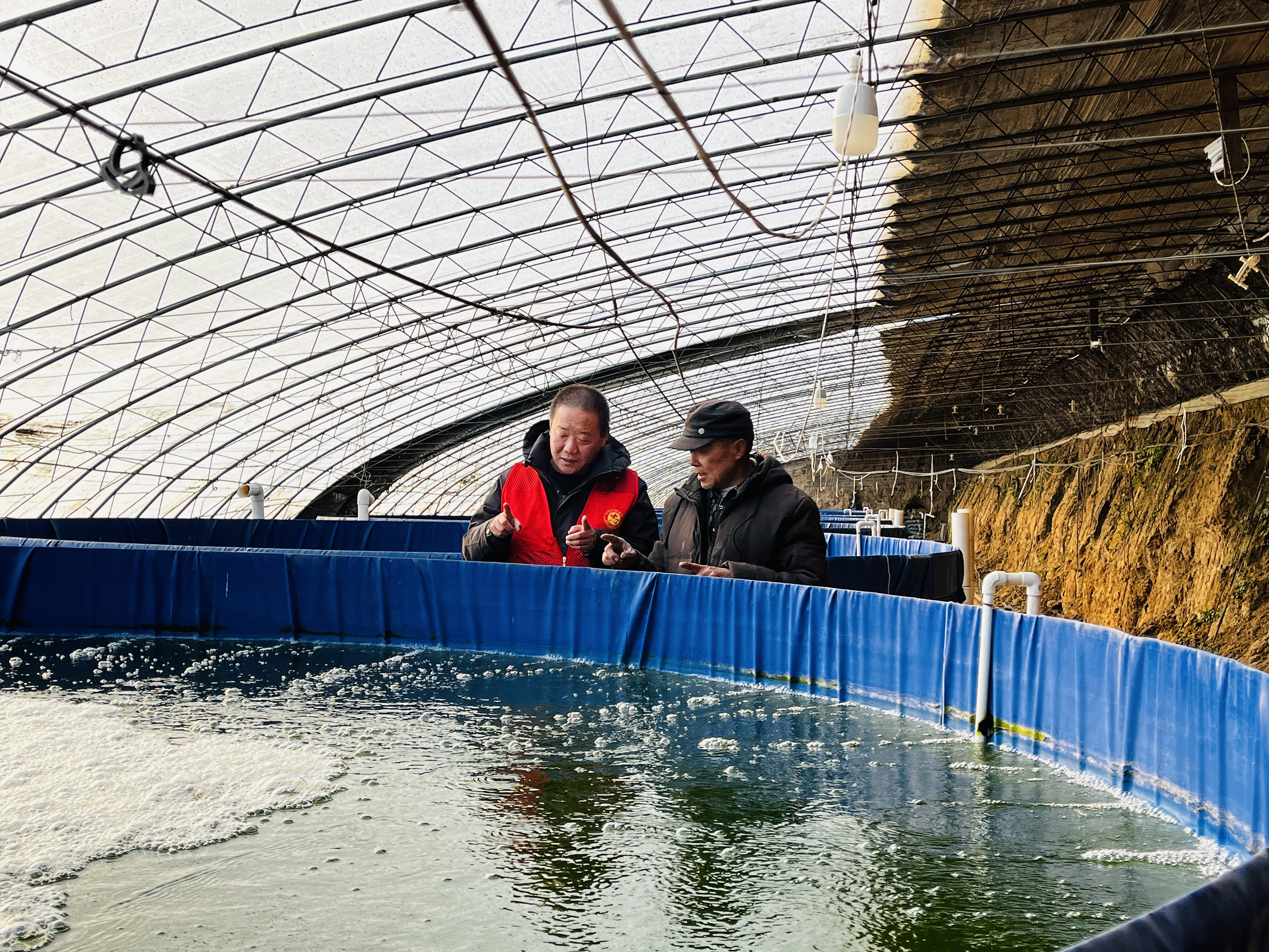 图片默认标题_fororder_图为农技人员查看鱼苗生长情况。(李金璐 摄).JPG