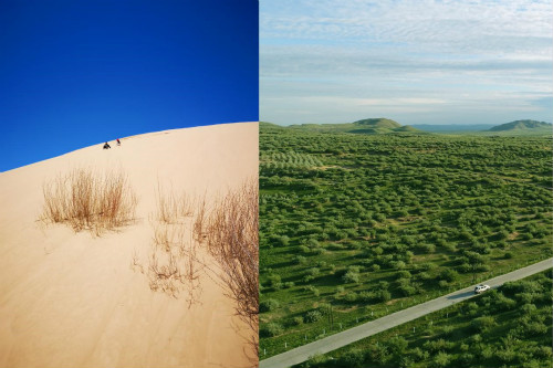 [光明网]【见证七十载?草原新发展】从“八百里瀚海”，到草原绿