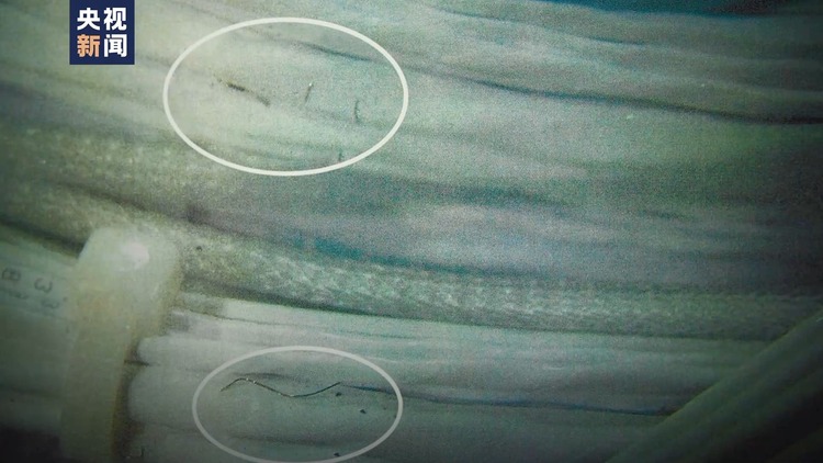 世界周刊丨波音危机