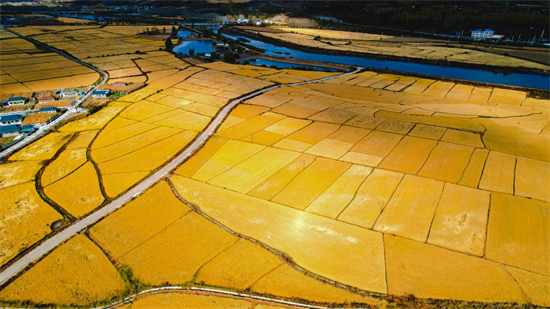 延吉市再添1.9万亩高标准农田_fororder_图片1