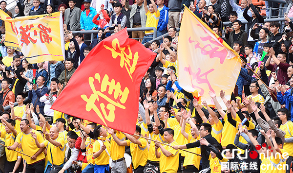 图片默认标题_fororder_激情四射的球迷