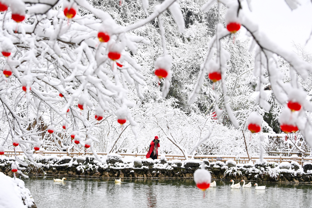 重庆下雪了!一起“趣”看雪