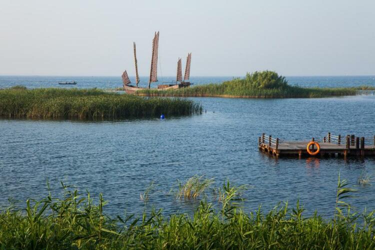 太湖湖滨 水墨丹青中的湿地秘境