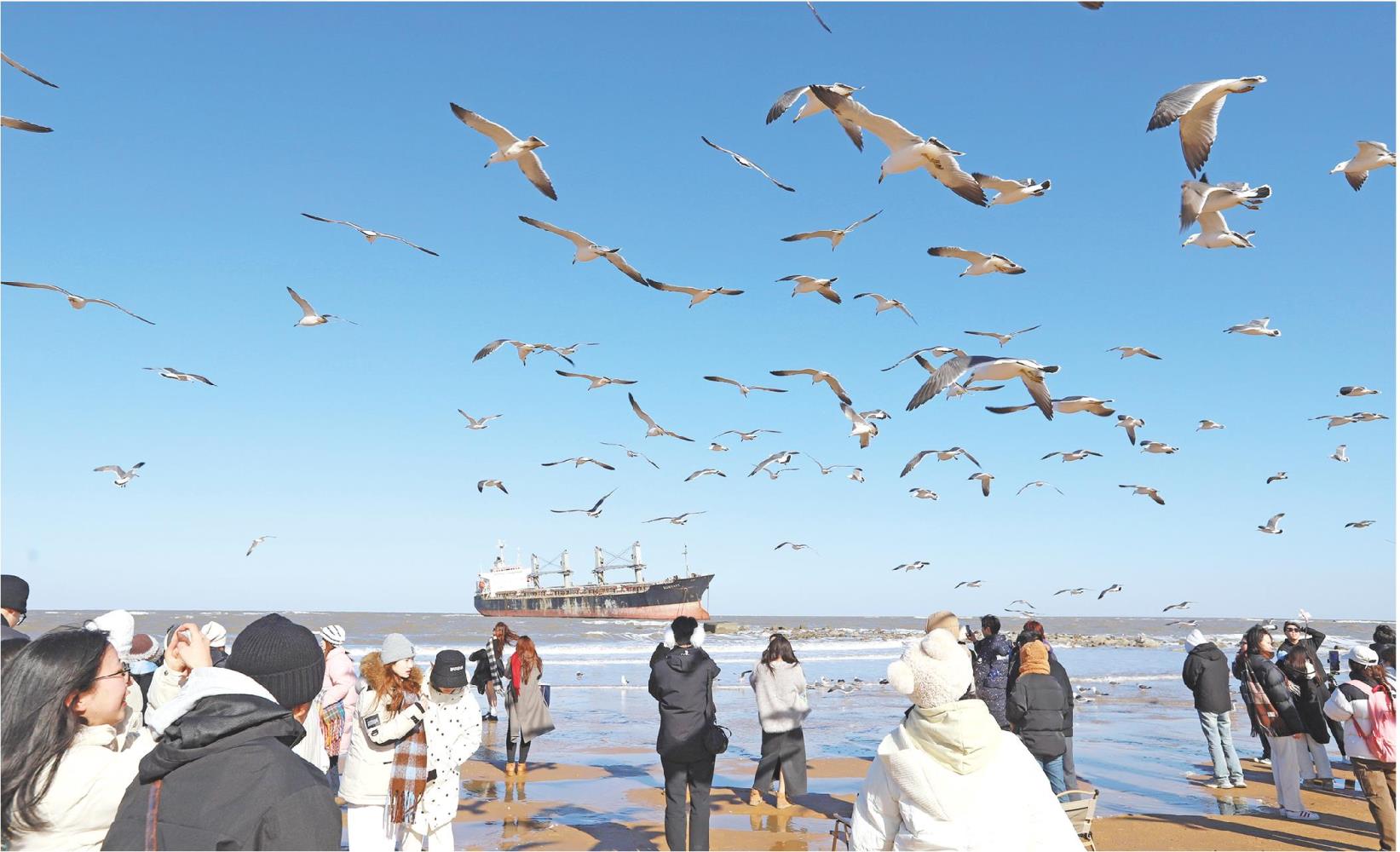 推进美丽山东建设,打造绿色低碳发展高地