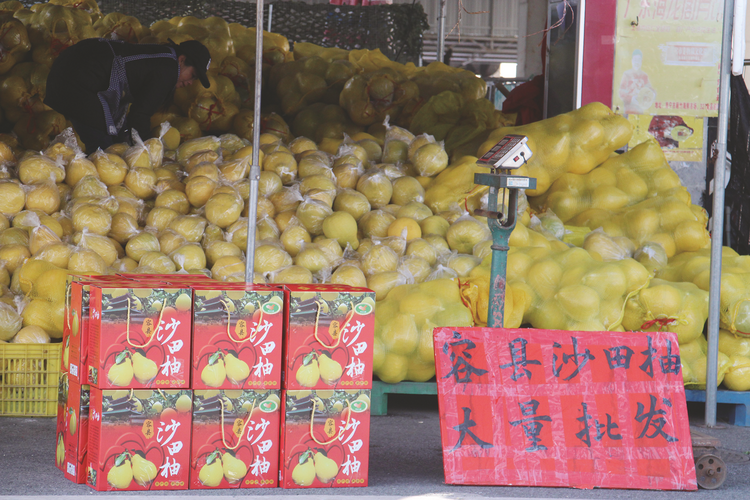 冬日里的第一口沙田柚 你品尝了吗?