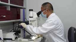 去年上海海关截获有害生物8.2万种次 截获输入性病媒生物547批次