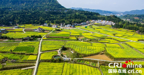 国际在线四川报道:巴中市巴州区曾口镇吉公村,被当地村民称为"世外