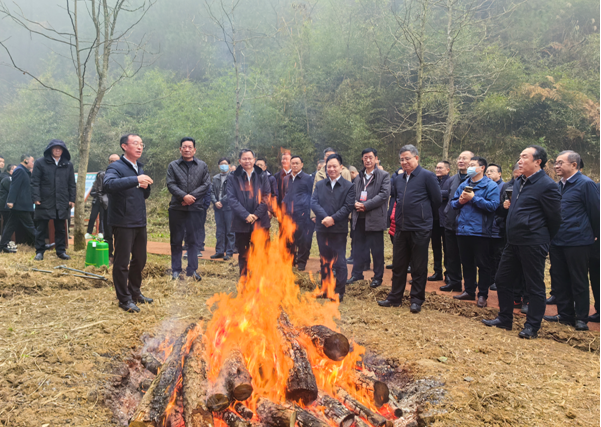 全国松材线虫病疫情防控攻坚行动推进会在渝召开_fororder_微信图片_20240102132731