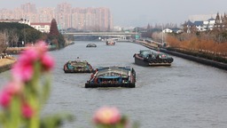 苏州：京杭大运河运输忙