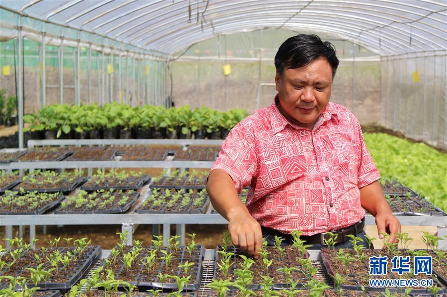 新华网■急人所需 授人以渔——中国农技援助项目改善萨摩亚人“