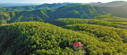 美麗渭南正在崛起 ——渭南市奮力書寫林業高質量發展“綠色答卷”