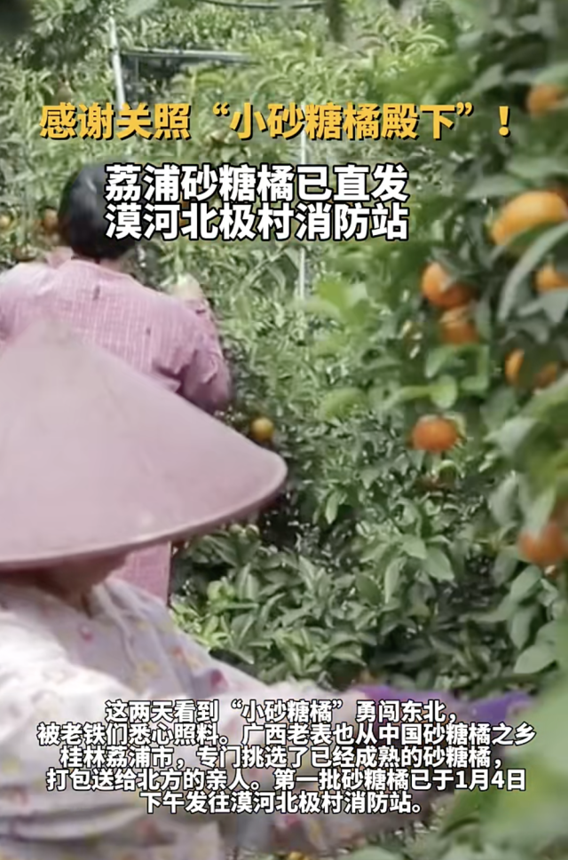 黑龙江老铁有“好果子”吃了！“小砂糖橘”的老家出手了......
