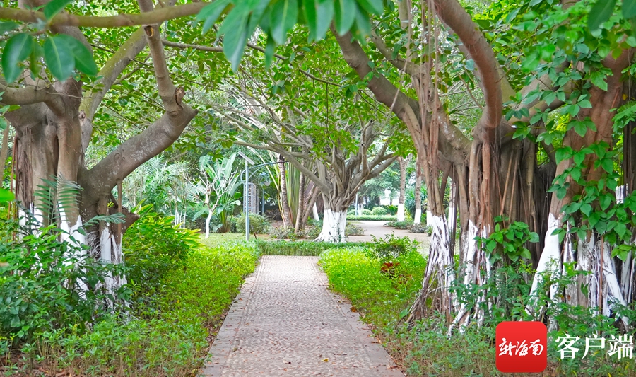 海口这些“口袋公园”你去过吗?_fororder_00322958935_bdc73910