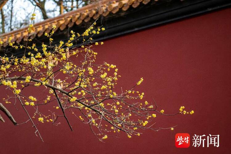 欢喜过大年 南京推出百项新春主题文旅活动