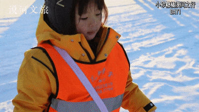 一起追更!哈尔滨开启“宠娃模式”,小砂糖橘之后他们也来了