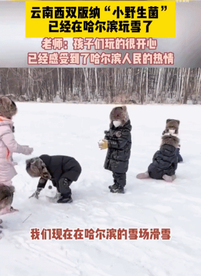 一起追更!哈尔滨开启“宠娃模式”,小砂糖橘之后他们也来了