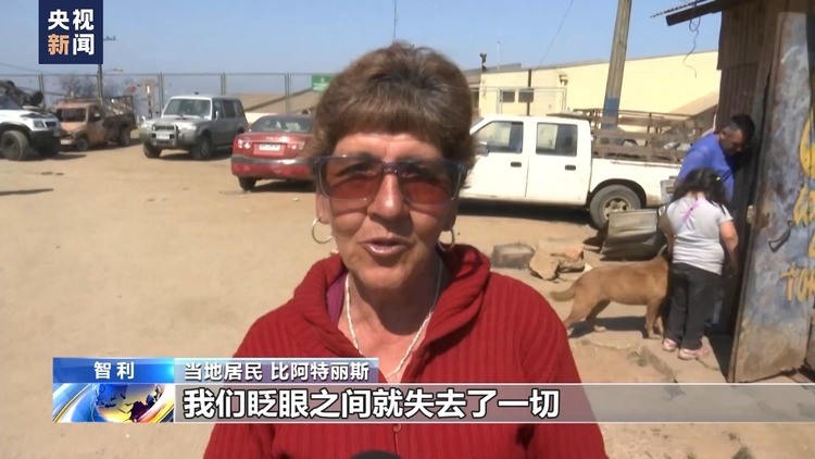 智利森林火灾幸存者回忆事发惊险时刻:就像经历了一场轰炸