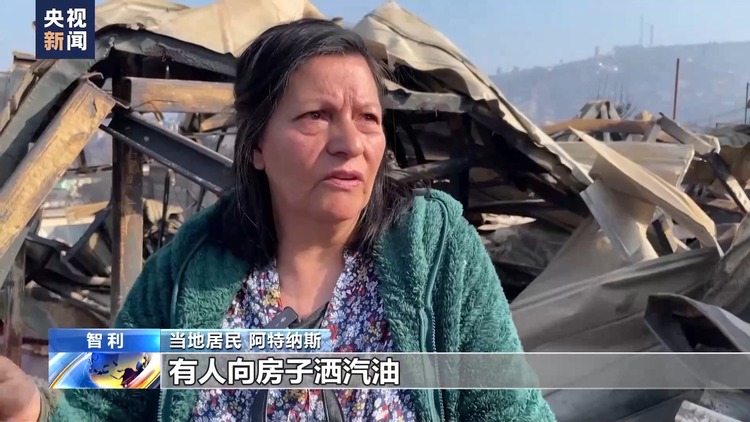 智利森林火灾幸存者回忆事发惊险时刻:就像经历了一场轰炸