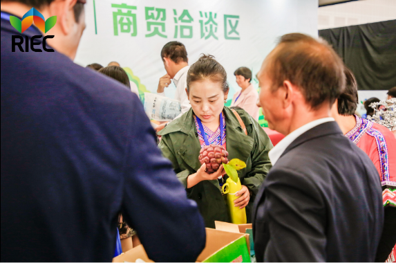 第二届中国乡村产业博览会暨中国乡村达人全民直播节反响热烈