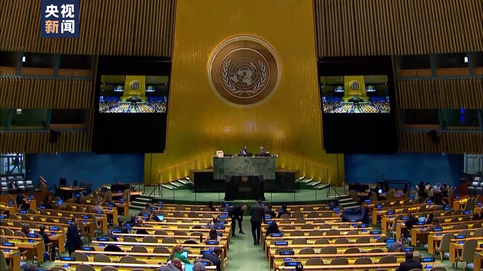 多国呼吁联合国安理会常任理事国在巴以问题上慎用一票否决权