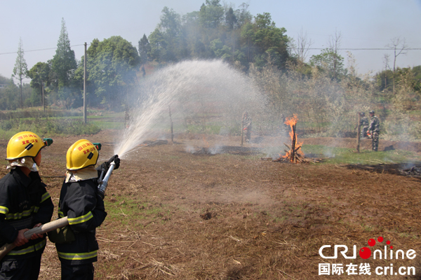 图片默认标题_fororder_森林防火演练现场-摄影余波-(1)