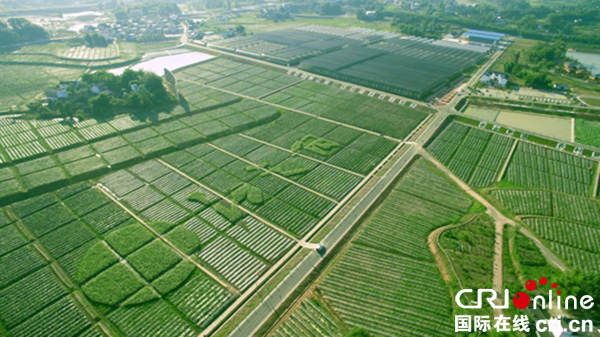 图片默认标题_fororder_2