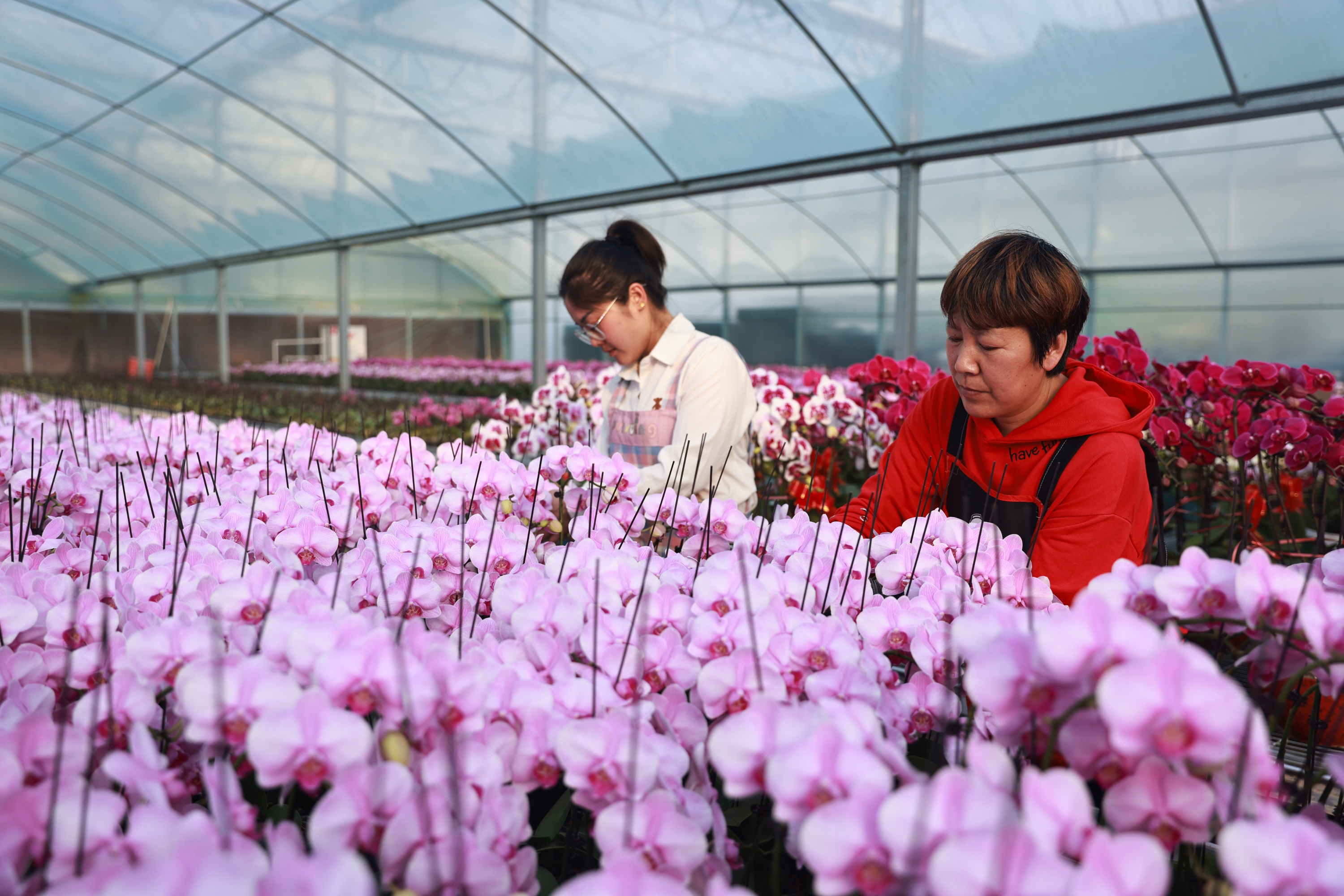 图片默认标题_fororder_002