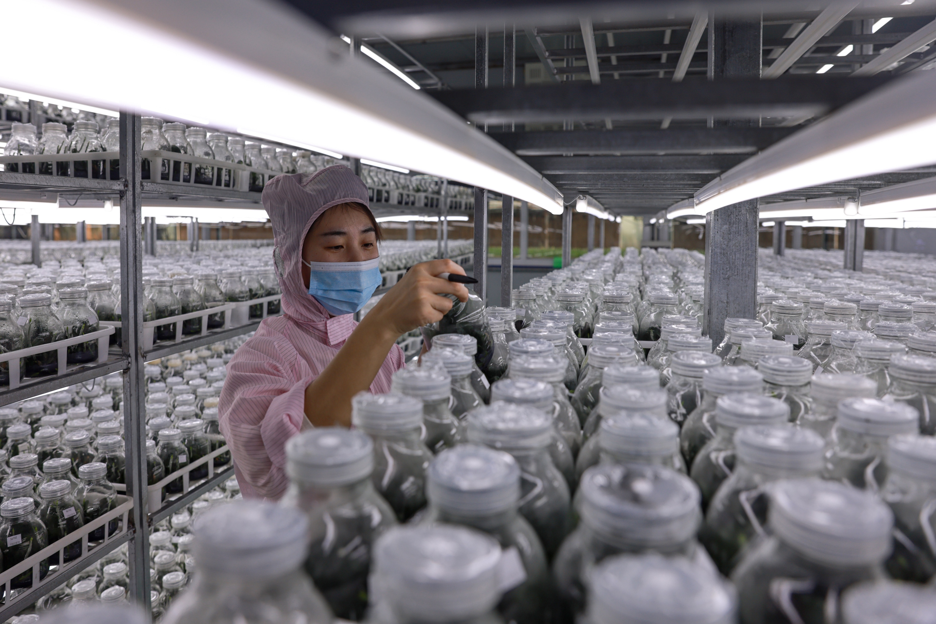 图片默认标题_fororder_007