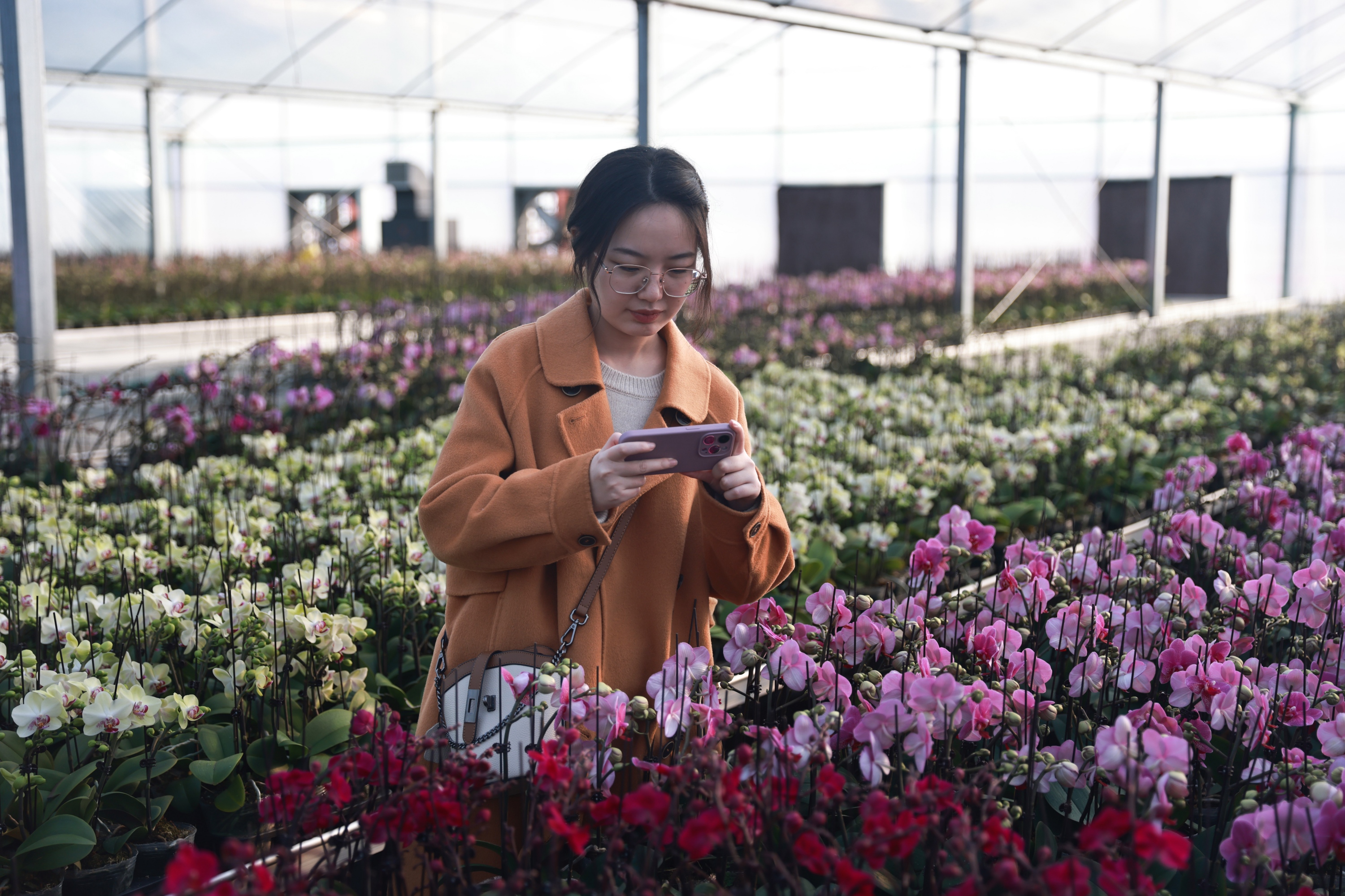 图片默认标题_fororder_008