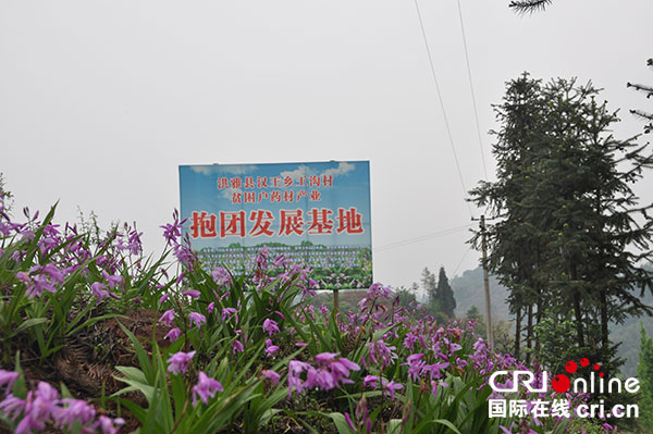 图片默认标题_fororder_1