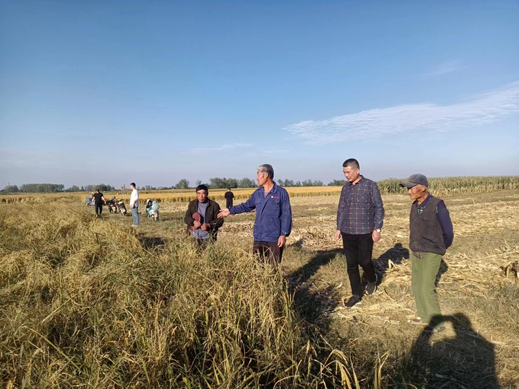 蚌埠市五河县武桥镇:“三聚焦”打造基层社会治理新“枫”景_fororder_图片2