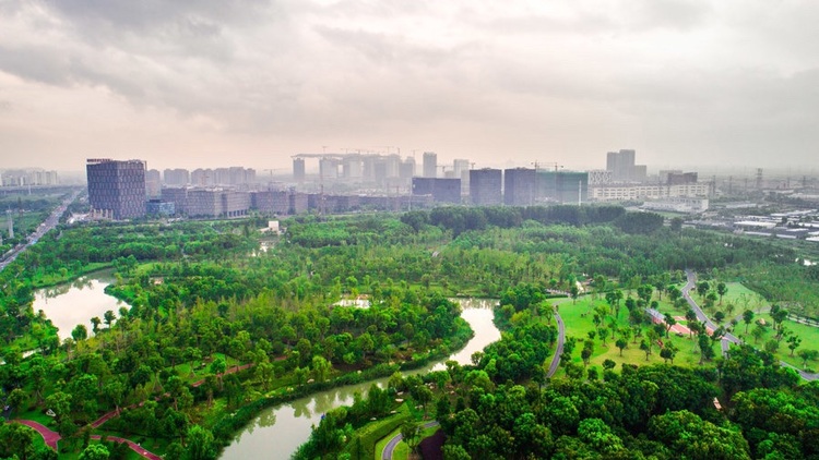 在钢筋水泥间“种”出了一片“绿肺” 上海松江九科绿洲从绿地成为产城融合新地标