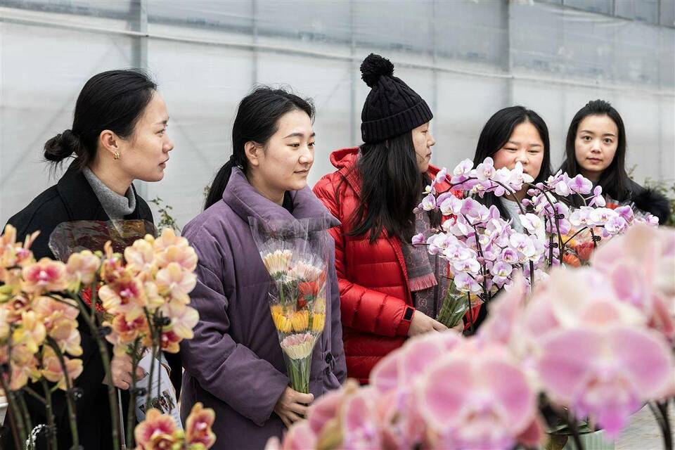 湖北省农科院向公众开放花卉科研基地