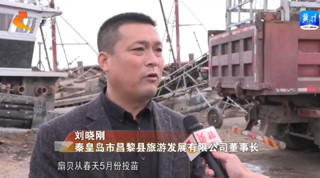 河北:点“绿”成金 推进碳产品价值转换