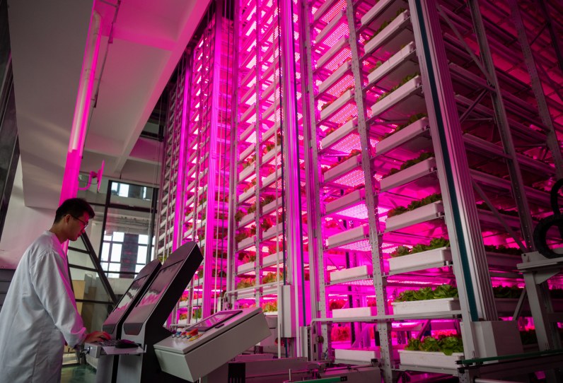 （转载）世界首座无人化垂直植物工厂在成都投用