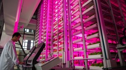 （转载）世界首座无人化垂直植物工厂在成都投用