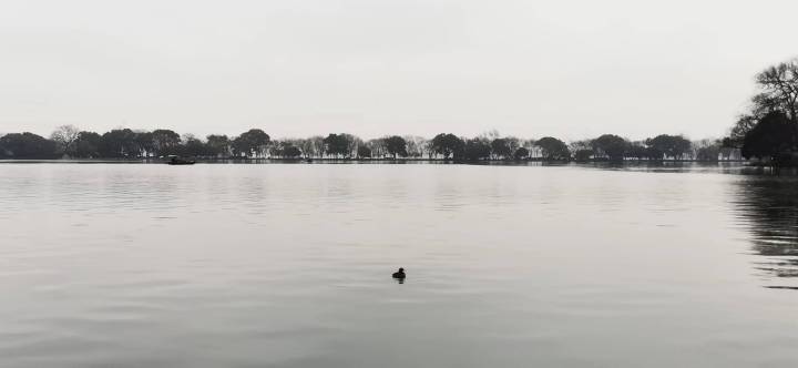 今年首场寒潮天气来袭,浙江下雪大概率是这一天_fororder_1748124648740110338_720px