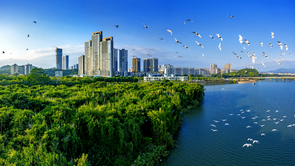 广东省“交旅融合发展”典型案例名单公布 广州增城区增江画廊入选