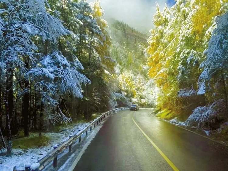 (转载)水上旅游消费同比增长373.41% 成都开启城市交旅融合消费新模式