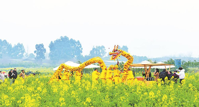 (转载)金波泛浪踏春风 油菜花香满蓉城_fororder_未标题-2