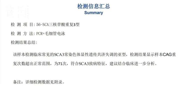 世界罕见病日丨0.065%—0.1%的患病比例 罕见更应该被看见
