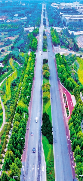 【中原名景-图片】【图说3】郑开大道打造绿地景观