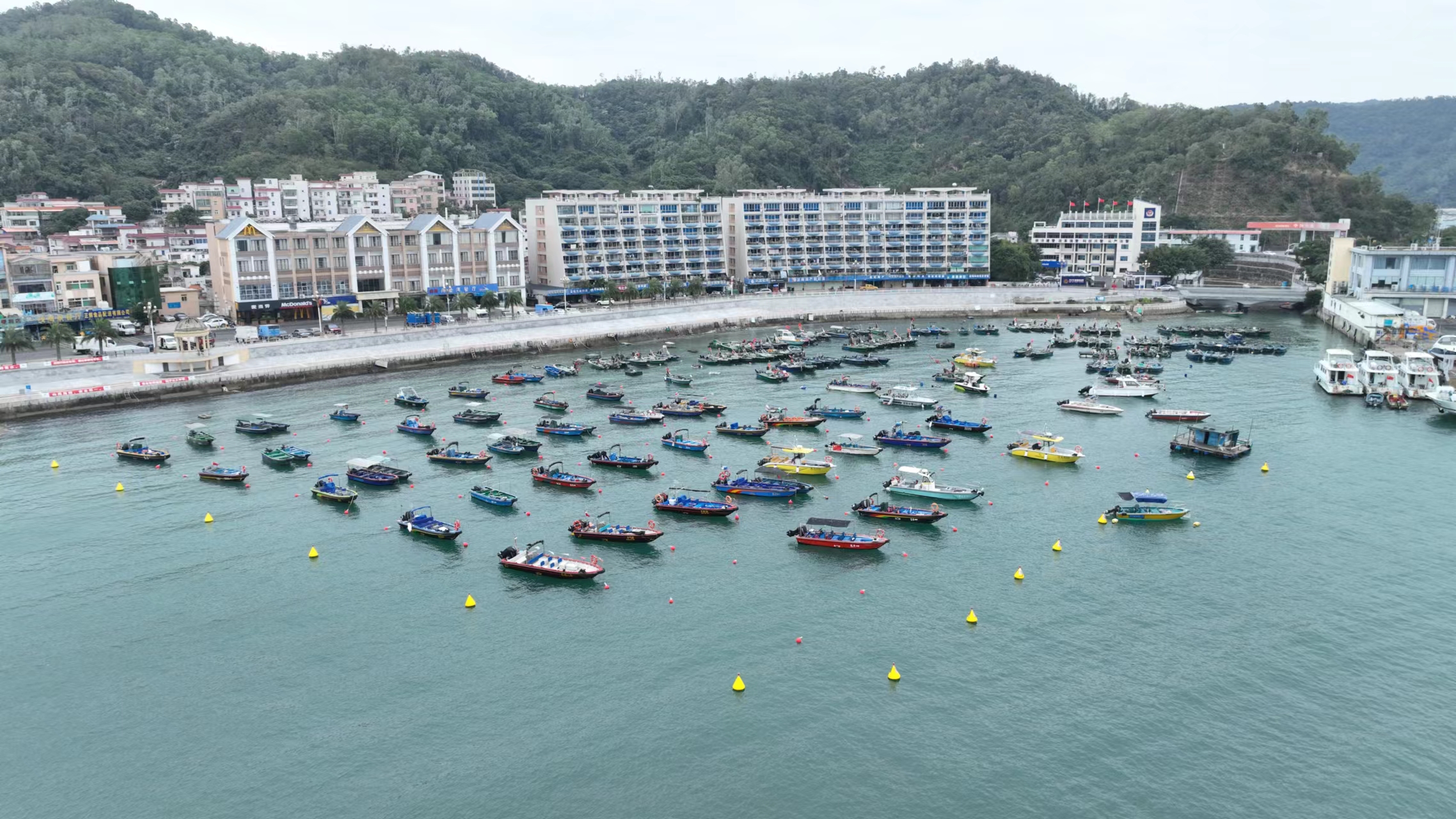 深圳:打造“大鹏模式” 筑牢海上安全管理“压舱石”_fororder_大鹏2