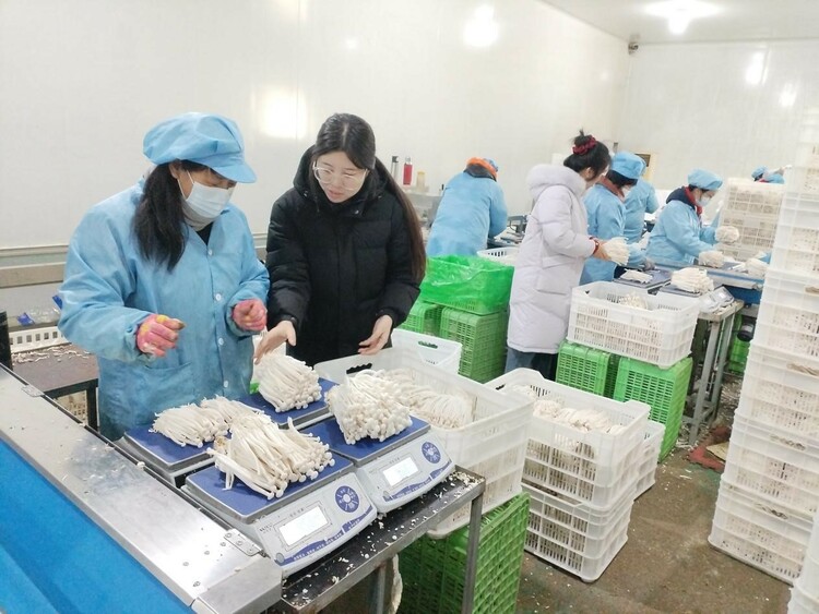 图片默认标题_fororder_1