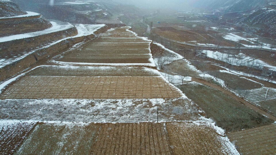 【天水】天水武山：瑞雪兆丰年 初春降雪有利农业生产_fororder_1