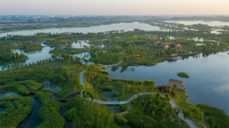 看清波荡漾 芳草萋萋 江苏首届“10佳湿地生态修复案例”出炉