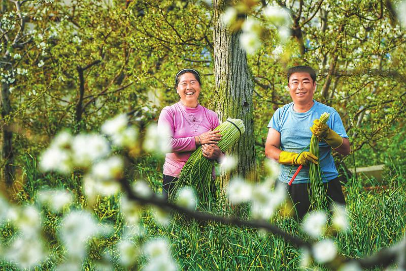 （焦点图，导航成都，移动端轮播图）美丽芦山 迈步新时代
