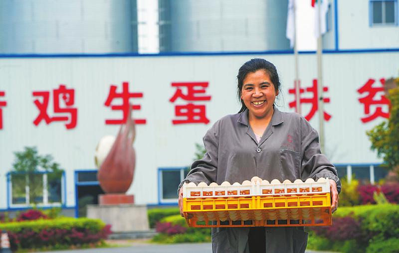 （焦点图，导航成都，移动端轮播图）美丽芦山 迈步新时代