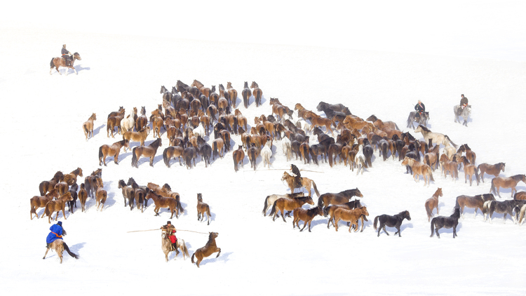 图片默认标题_fororder_鄂温克草原上的牧民，驾驭着骏马，展现出独特的套马技艺。冰雪活动中，人们尽情畅享冬季运动的魅力，欢声笑语回荡在蓝天之下。（摄影：索米亚）